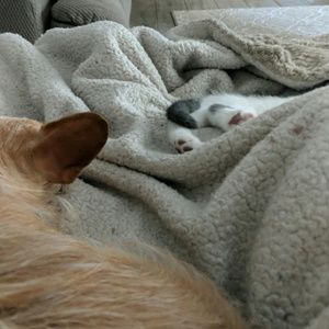 Meet your Posher, Candace